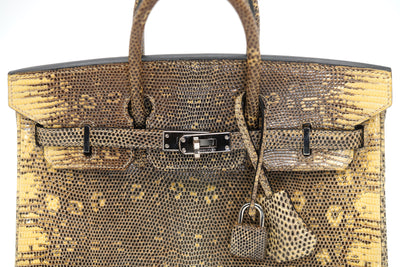 Hermès Birkin 25 Ombre Varanus Salvator Lizard Palladium Hardware