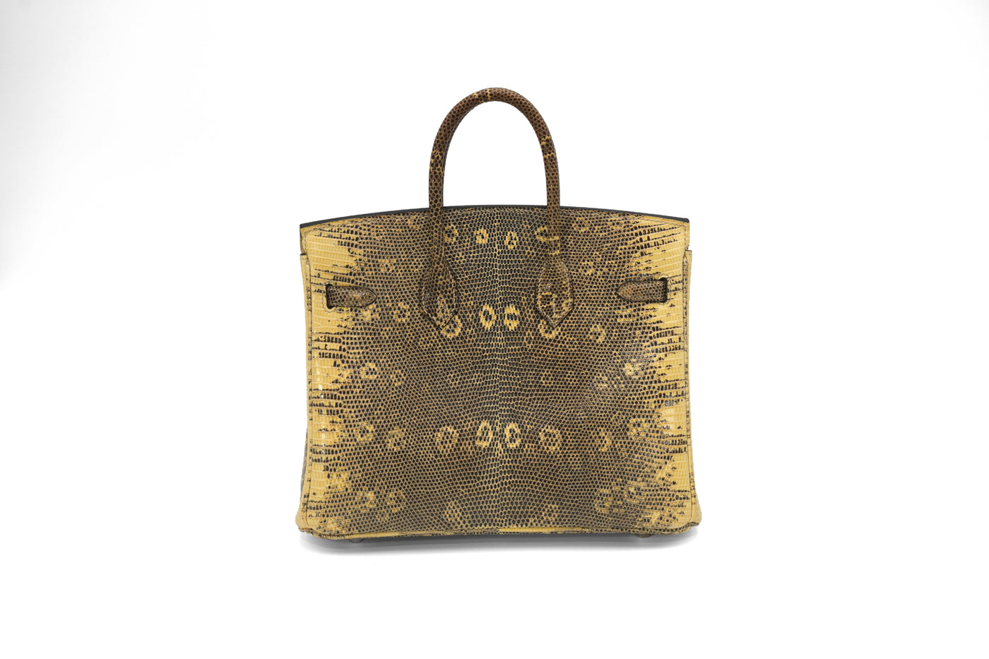 Hermès Birkin 25 Ombre Varanus Salvator Lizard Palladium Hardware
