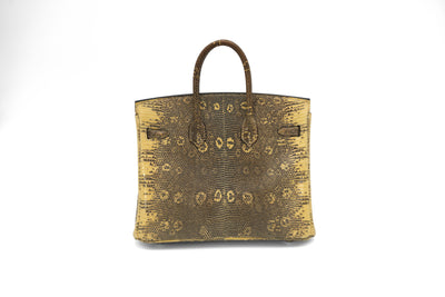Hermès Birkin 25 Ombre Varanus Salvator Lizard Palladium Hardware