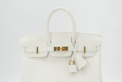 Hermes Snow White 25cm Birkin