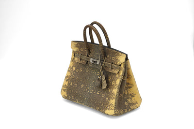 Hermès Birkin 25 Ombre Varanus Salvator Lizard Palladium Hardware