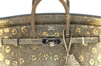 Hermès Birkin 25 Ombre Varanus Salvator Lizard Palladium Hardware