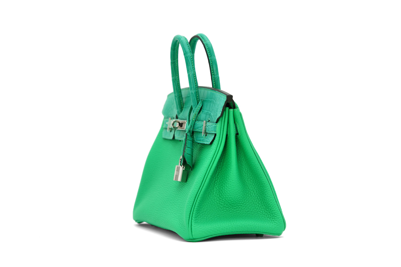 Hermès Birkin 25 Vert Comics Togo and Matte Alligator