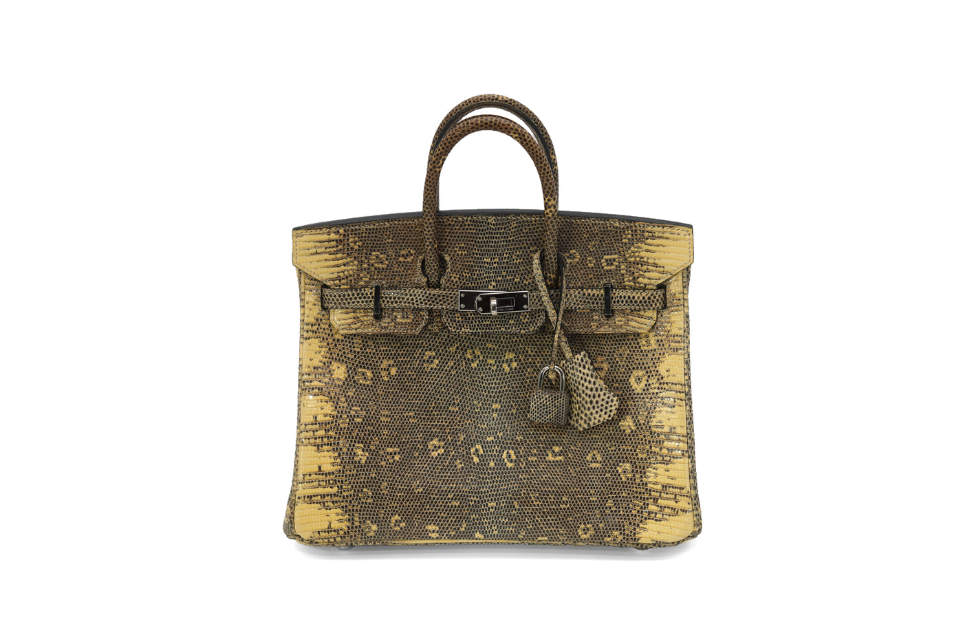 Hermès Birkin 25 Ombre Varanus Salvator Lizard Palladium Hardware