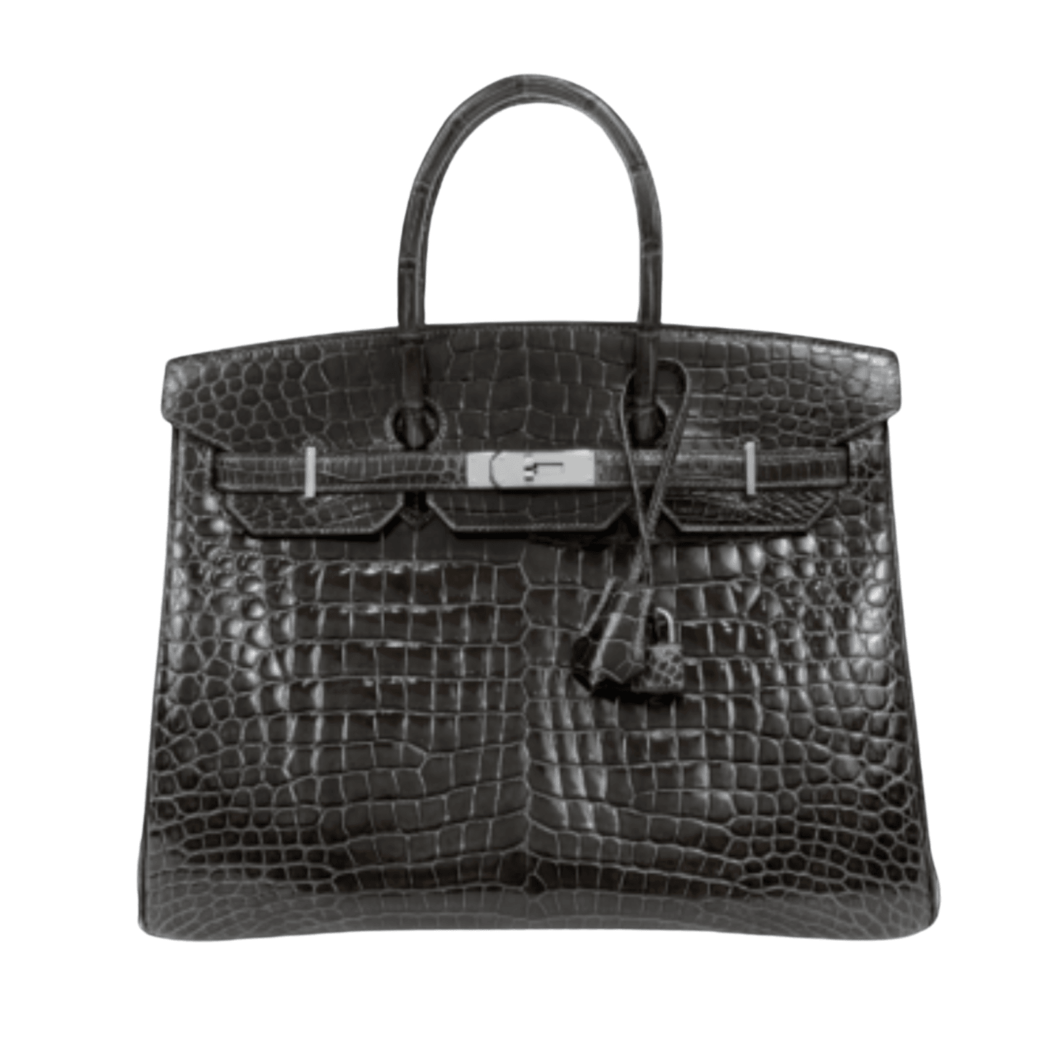 Hermès 35cm Graphite Crocodile Birkin w/ Palladium Hardware - Only Authentics