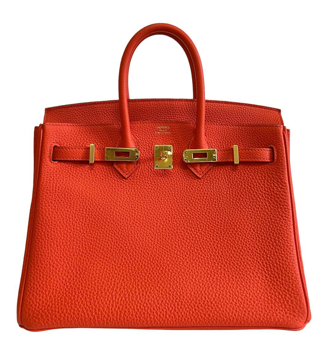 Hermes Birkin Bag Togo Leather Gold Hardware In Orange